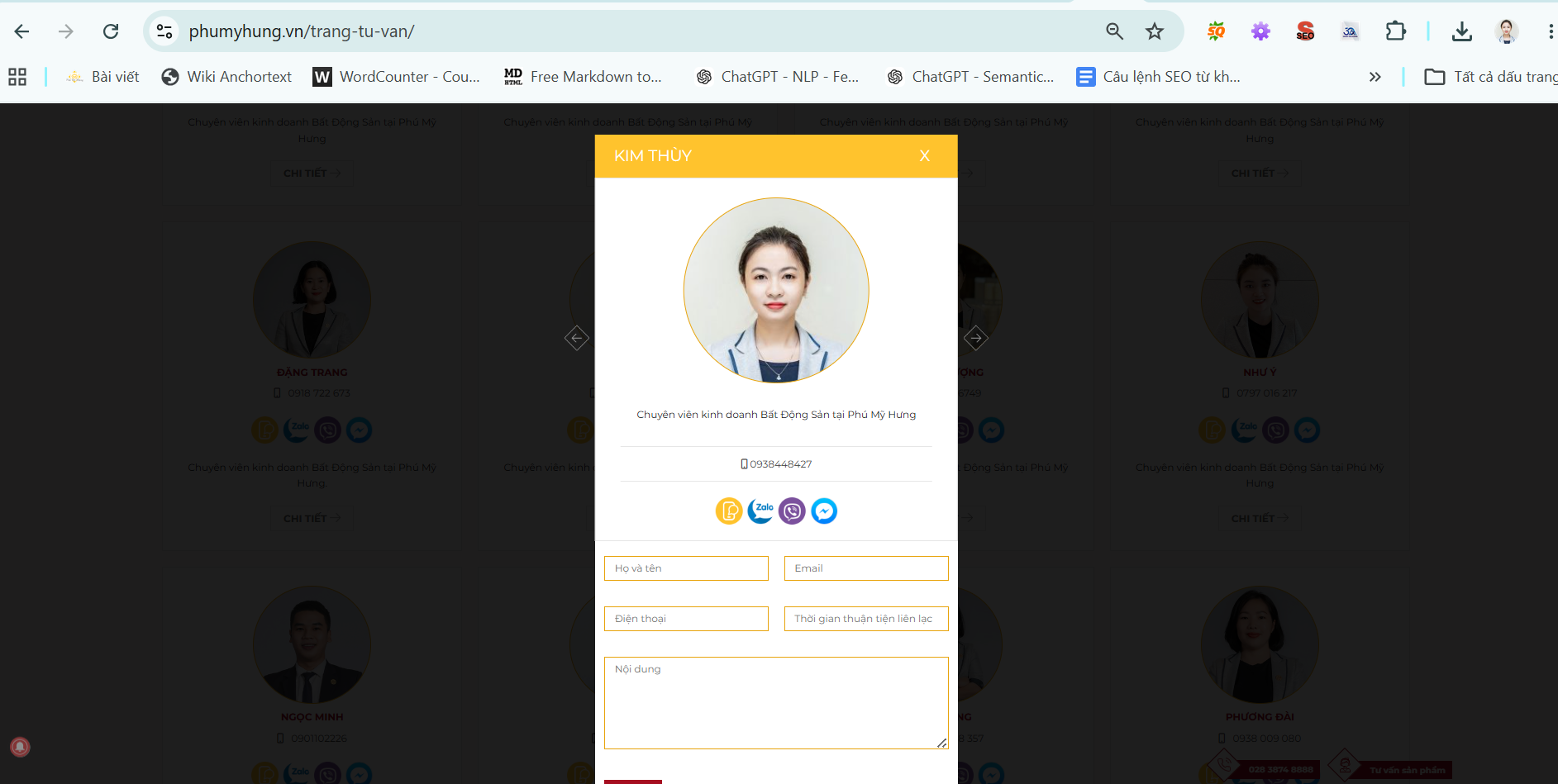Chuyên viên tư vấn Kim Thùy trên trang website phumyhung.vn (Thuộc Công Ty Phú Mỹ Hưng)